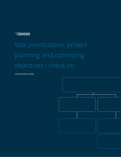 Task Prioritization, Project Planning, and Example OKRs