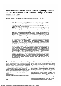 Fibroblast growth factor 2 uses distinct signaling pathways for