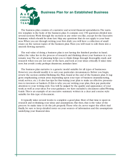 Business Plan for an Established Business