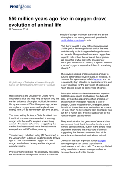550 million years ago rise in oxygen drove evolution of