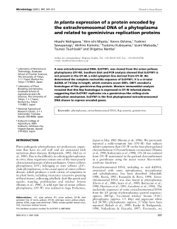 In planta expression of a protein encoded by the