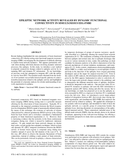 Epileptic Network Activity Revealed by Dynamic - MIP :: Lab