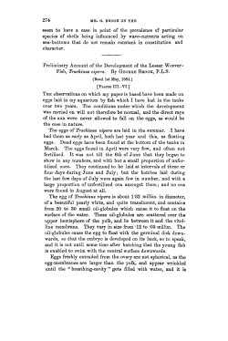 Preliminary Account of the Development of the Lesser Weever