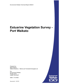 Estuarine Vegetation Survey - Port Waikato