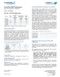 AccuPOL DNA Polymerase