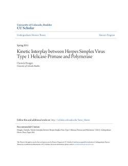 Kinetic Interplay between Herpes Simplex Virus Type 1 Helicase