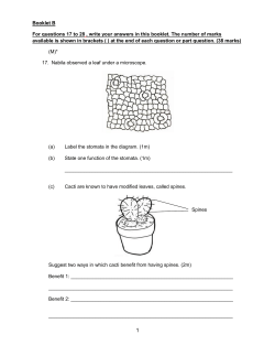PSLE Foundation Science 2016