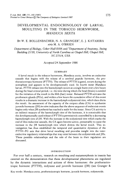 developmental endocrinology of larval moulting in the tobacco