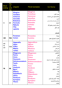 Irregular plural nouns