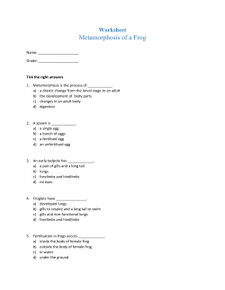 Metamorphosis of a Frog