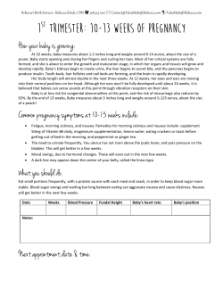 1st Trimester: 10-13 Weeks of Pregnancy