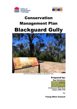 Blackguard Gully - Hilltops Council