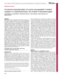 Functional characterization of a short neuropeptide F
