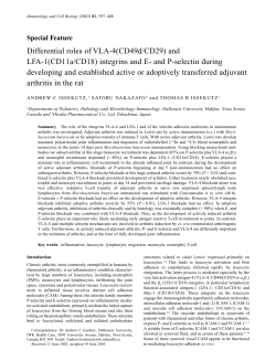 Differential roles of VLA-4(CD49d/CD29) and LFA-1(CD11a