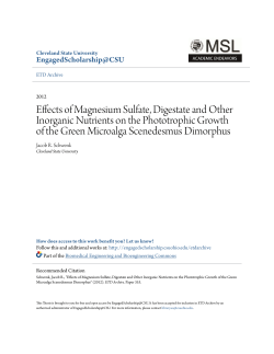 Effects of Magnesium Sulfate, Digestate and Other Inorganic