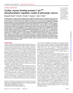 Cardiac myosin binding protein-C Ser302 phosphorylation regulates