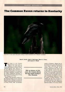 The Common Raven returns to Kentucky
