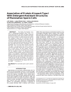 Association of protein kinase A type I with detergent