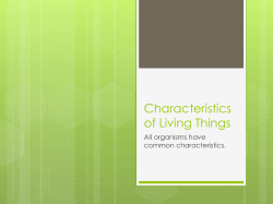 Characteristics of Living Things