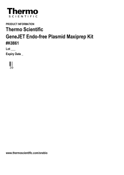 GeneJET Endo-free Plasmid Maxiprep Kit