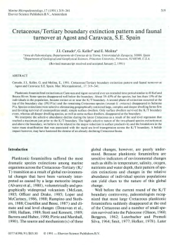 Cretaceous/Tertiary boundary extinction pattern and