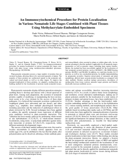 An Immunocytochemical Procedure for Protein Localization in