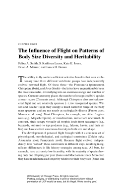 The influence of flight on patterns of body size