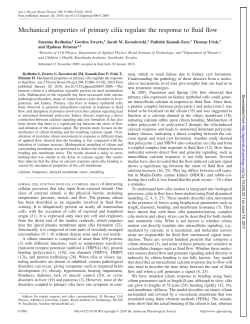 Mechanical properties of primary cilia regulate the response to fluid