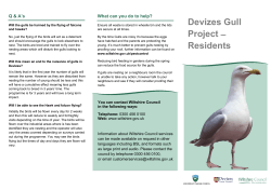 Devizes Gull Project ̶̵̵̵ Residents