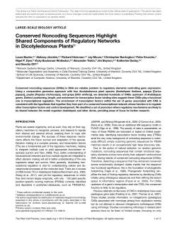 Conserved Noncoding Sequences Highlight Shared