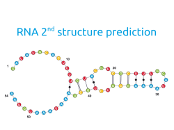 RNA 2nd structure prediction