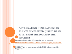 Alternating generations in plants simplified (using brad pitt and paris