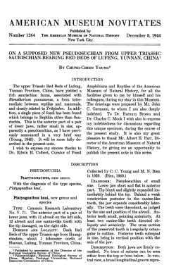 american museum novitates - AMNH Library Digital Repository