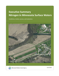 Executive Summary Nitrogen in Minnesota Surface Waters