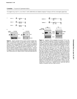 T Cell Receptor (TCR) Mini-Gene mRNA Expression Regulated by