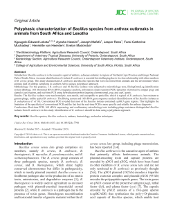 Polyphasic characterization of Bacillus species