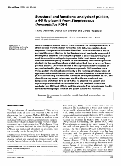 Structural and functional analysis of pC165st, a 6.5 kb plasmid from