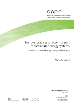 CEPE Working Paper - ETH E