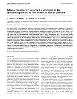 Glucose transporter isoform 4 is expressed in the