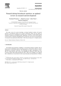 as a PDF