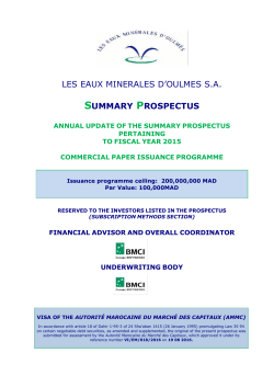 the prospectus summary