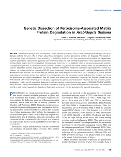 Genetic Dissection of Peroxisome-Associated Matrix