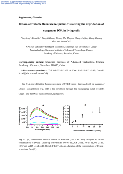 DNase-activatable fluorescence probes visualizing the degradation
