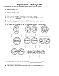 Meiosis Test Study Guide