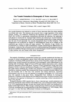 Gas Vacuole Formation in Hormogonia of Nostoc