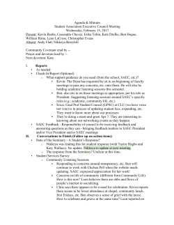 SAEC Meeting Minutes