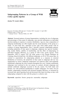 Subgrouping Patterns in a Group of Wild Cebus apella nigritus