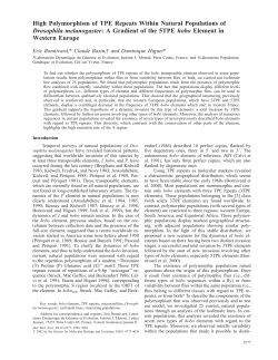 High Polymorphism of TPE Repeats Within