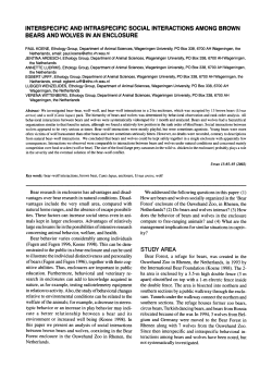 INTERSPECIFIC AND INTRASPECIFIC SOCIAL INTERACTIONS