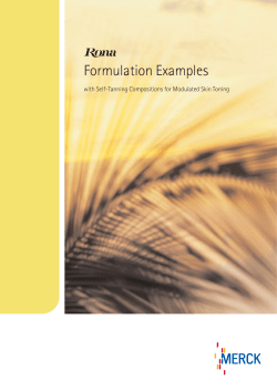 SK-06-110 - Merck Performance Materials
